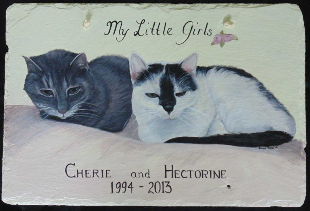 cat portrait memorial