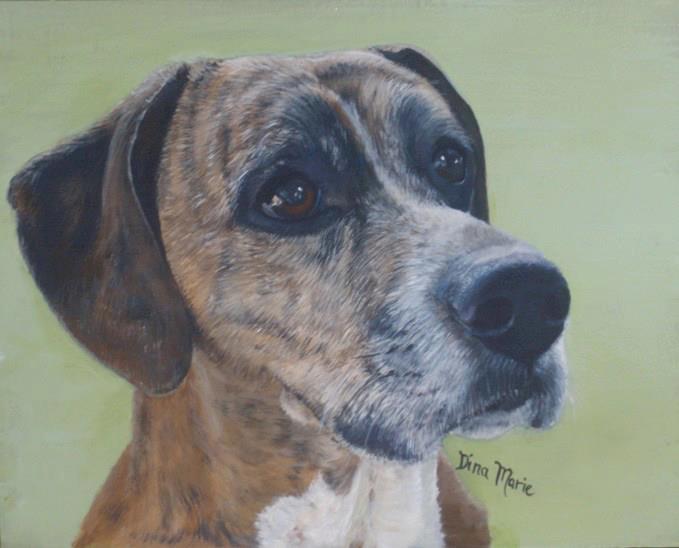 drew_pet_portrait