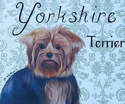 yorkshire-terrier-mixed-media-dina-marie-pratt